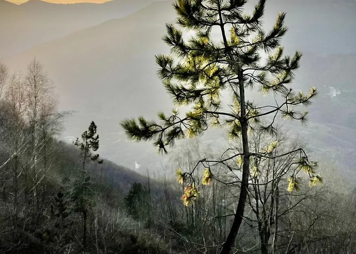 Villa Piccolo Paradiso Chiusanico